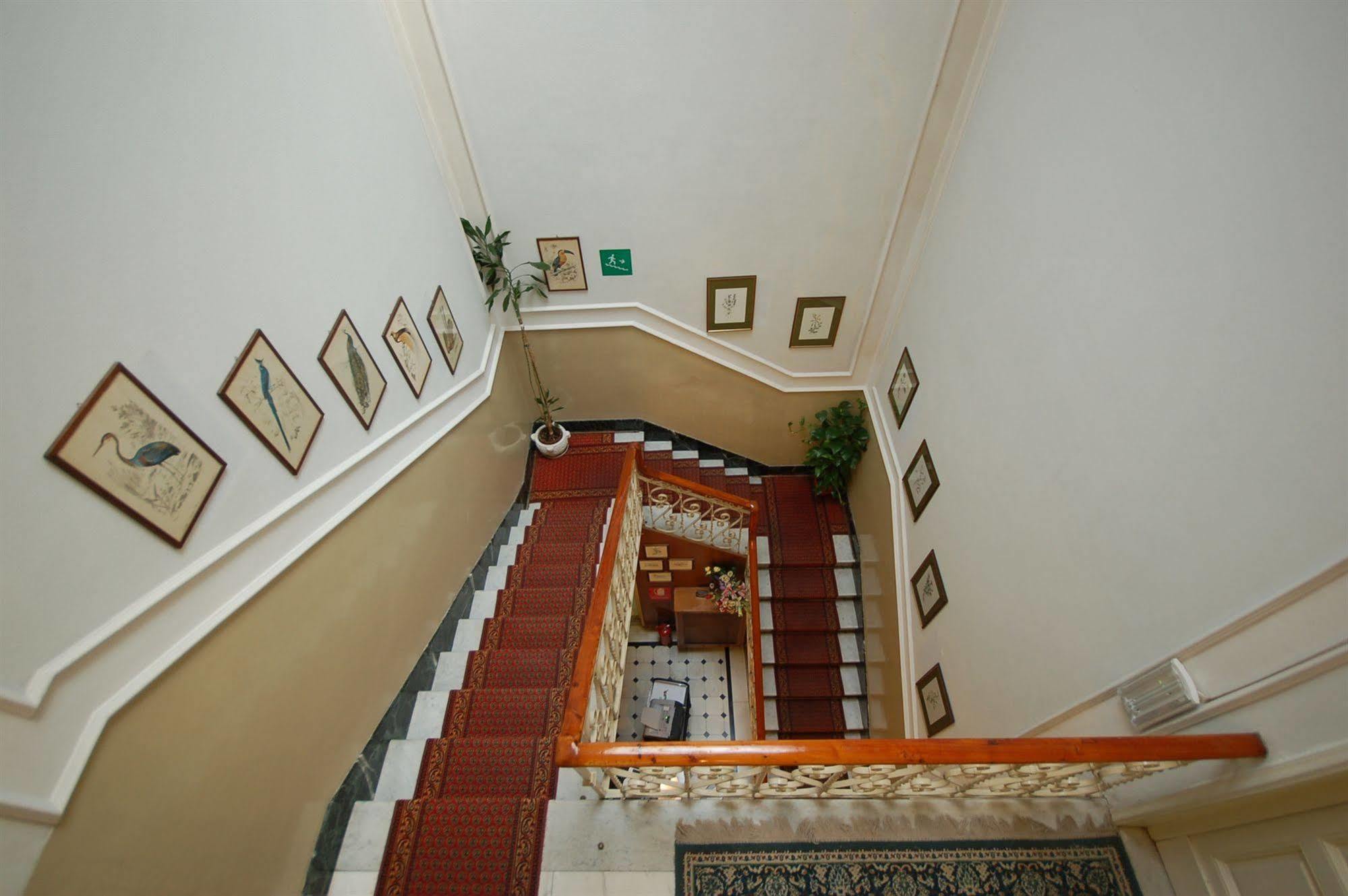 Hotel Ely Viareggio Eksteriør bilde